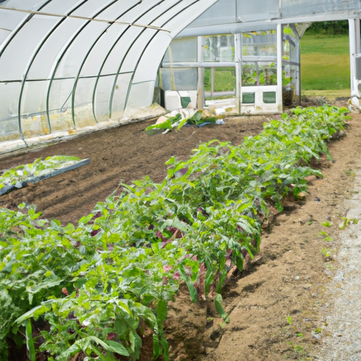 What Are Urban Farms? Exploring the Growth and Importance of Urban Agriculture