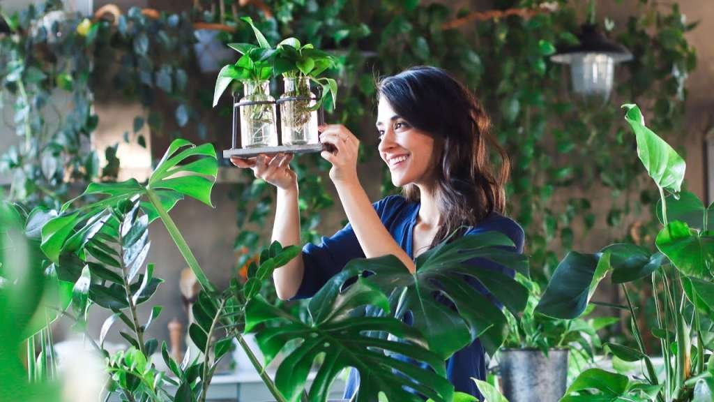 Master Indoor Plant Propagation: Unlock Success with These 5 Beginner-Friendly Varieties!